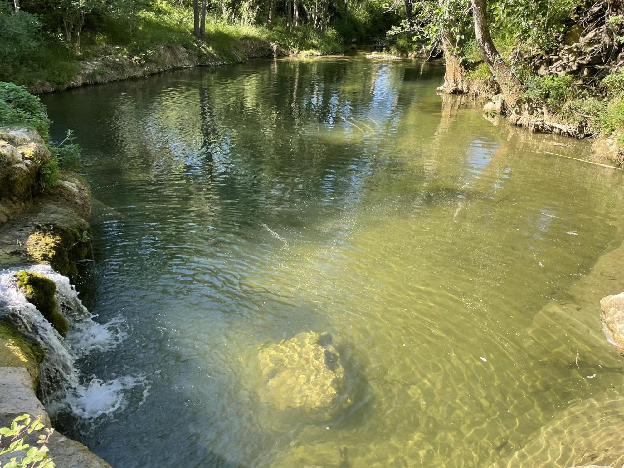 Le Domaine De La Tuilerie - Gite De Charme En Bord De Riviere Avec Piscine Servies-en-Val Dış mekan fotoğraf
