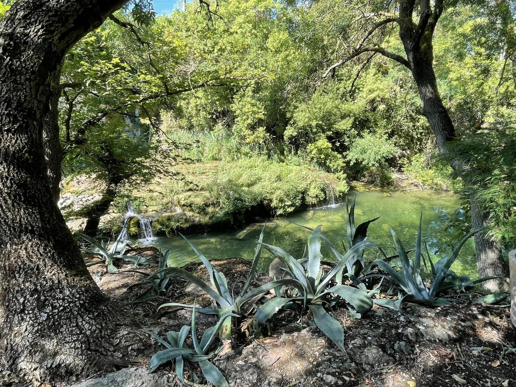 Le Domaine De La Tuilerie - Gite De Charme En Bord De Riviere Avec Piscine Servies-en-Val Oda fotoğraf